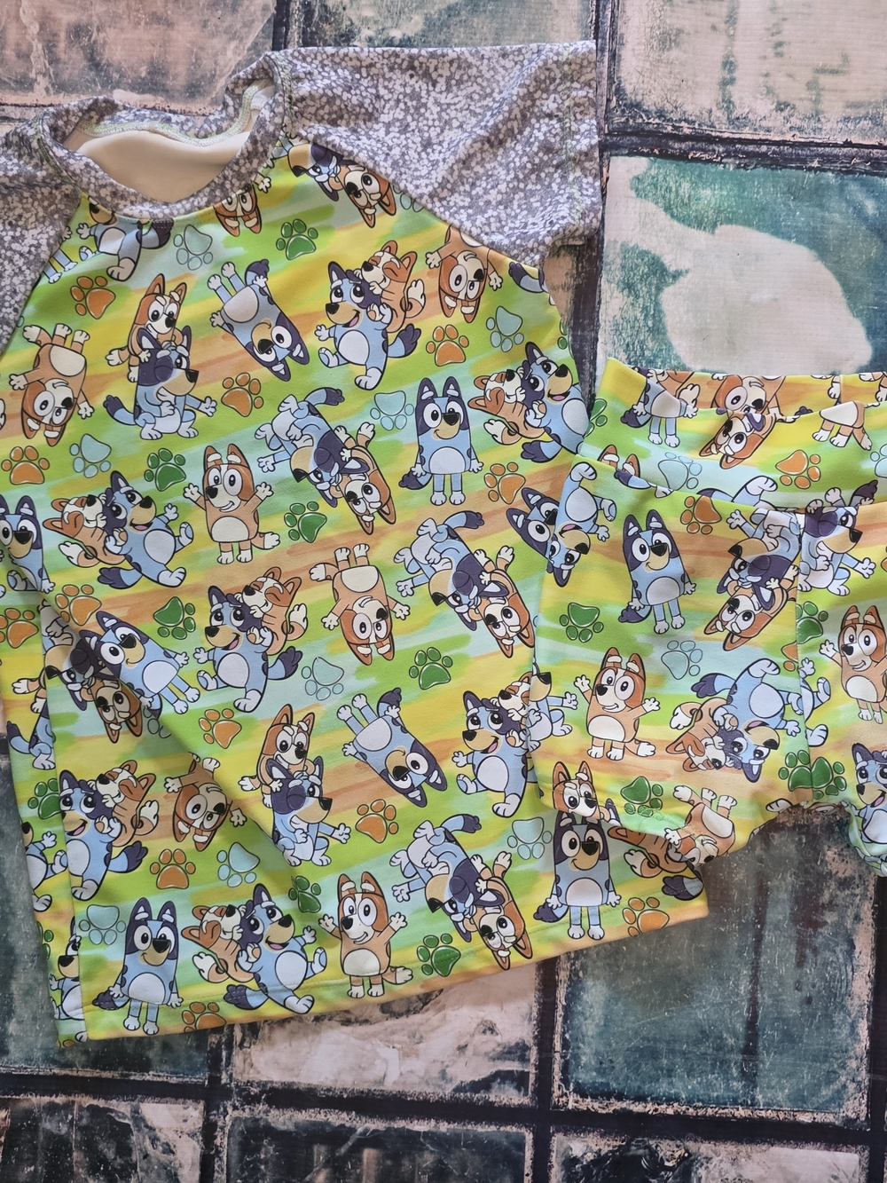 5T Dog Swimsuit